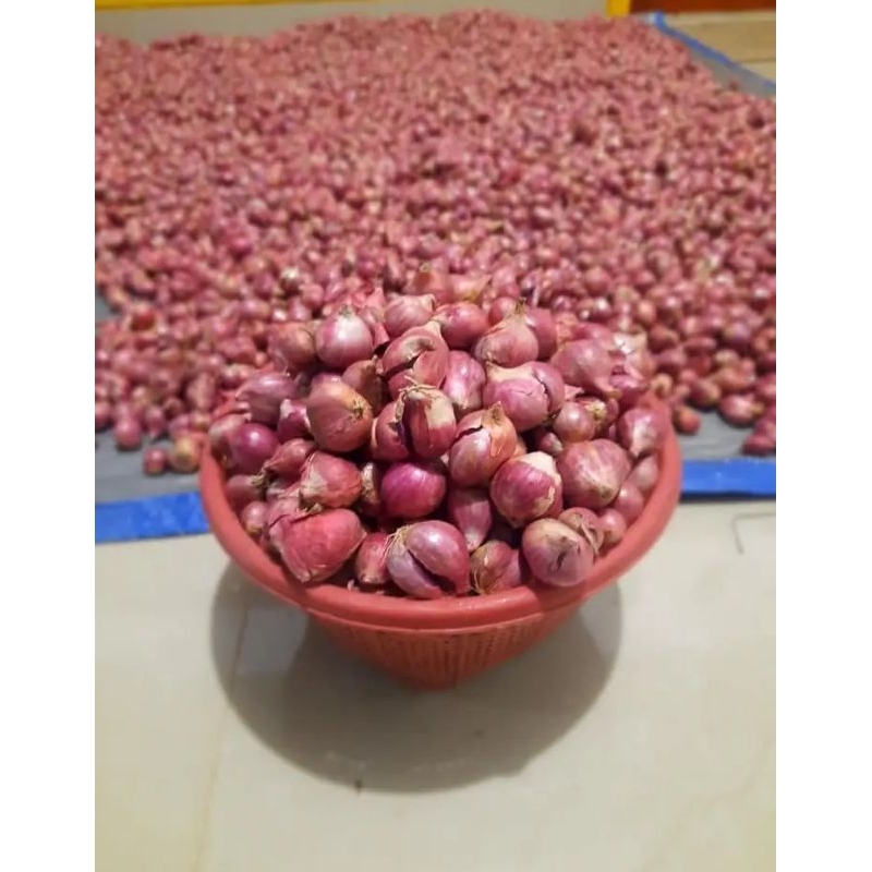 

BAWANG MERAH NGANJUK MURAH 1KG