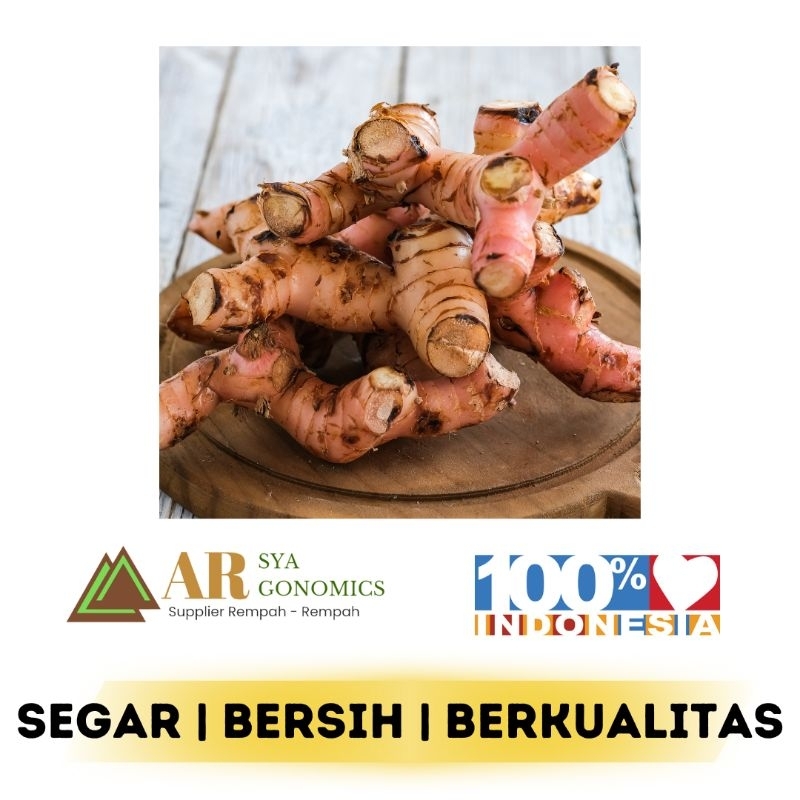

LENGKUAS 1 KG