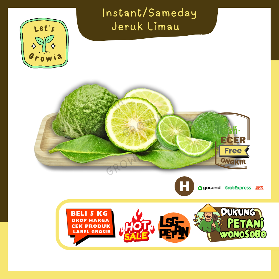 

Growia || Jeruk Limau || Hasil Petani Langsung Ecer(H)0