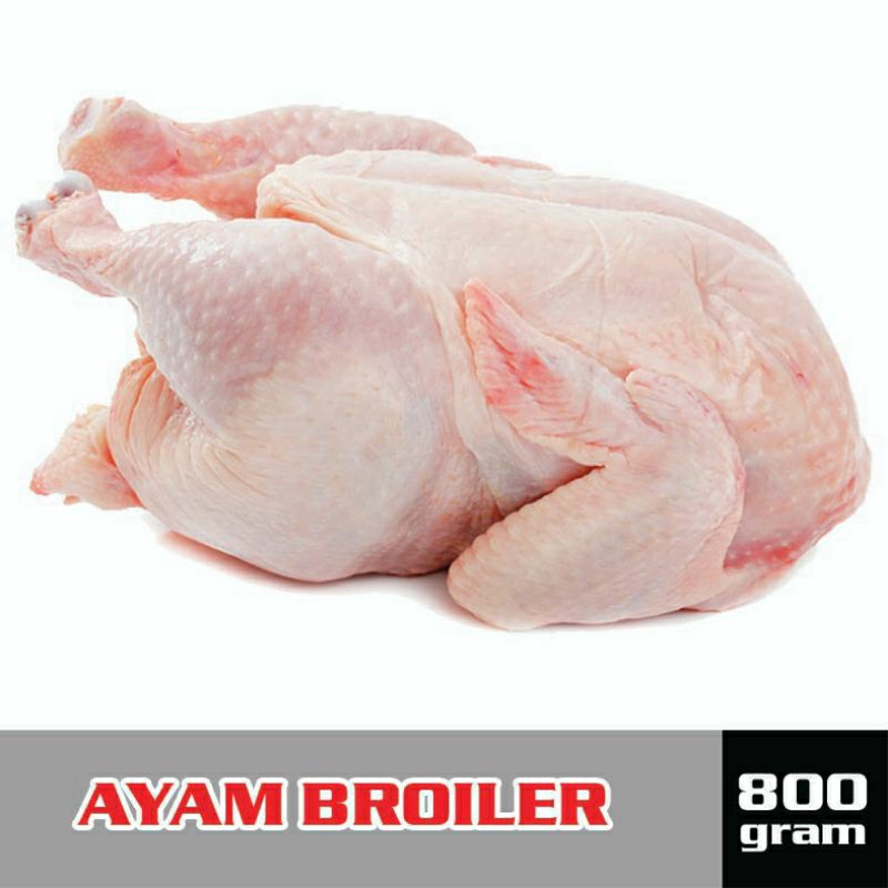 

Ayam ukuran 800 gram