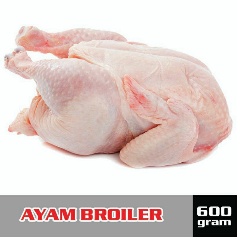 

Ayam ukuran 600 gram