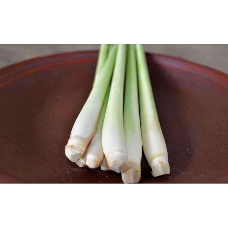 

Bumbu Dapur Sereh Fresh bersih berat 500 gram