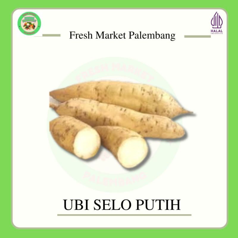 

Ubi Selo Putih -Fresh Market Palembang-