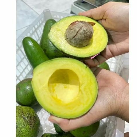 

TITIP MIMIN ALPUKAT SEKILO ISI 3/4/5 BIJI