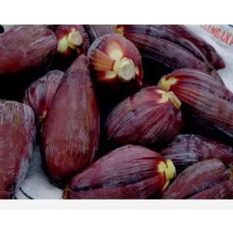 

jantung pisang harga 1 kg/jantung pisang enak d masak