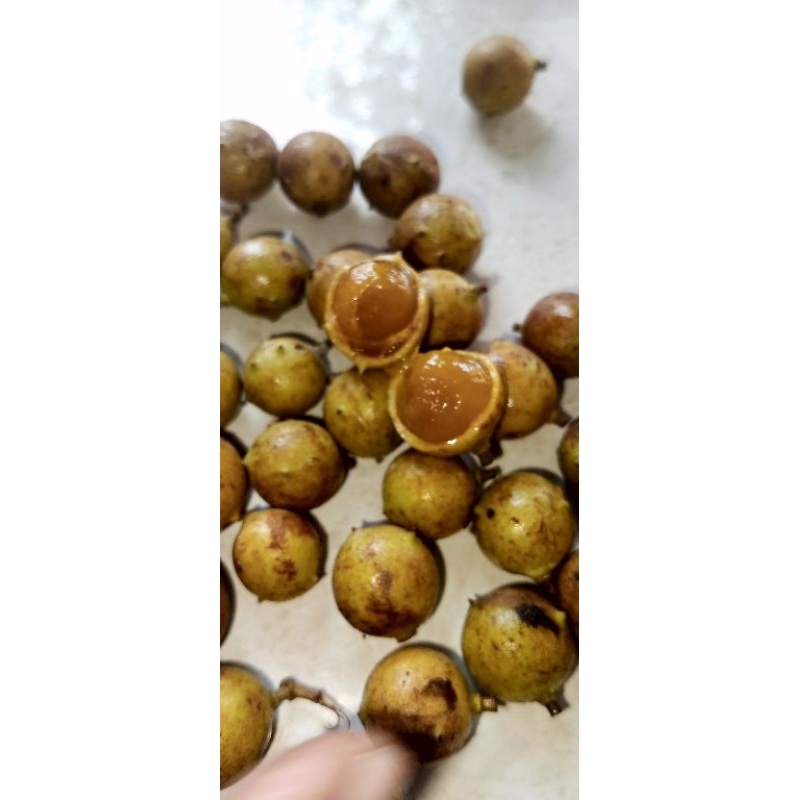 

Kosambi/kluthuk manis asem seger 1kg