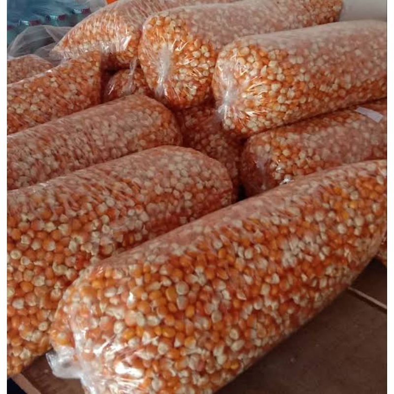 

jagung ayam berkokok/asli alami tanpa campuran obat/1kg