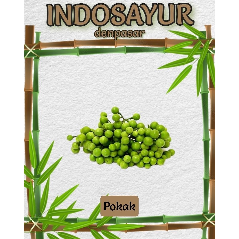

Pokak 90g _ INDOSAYUR