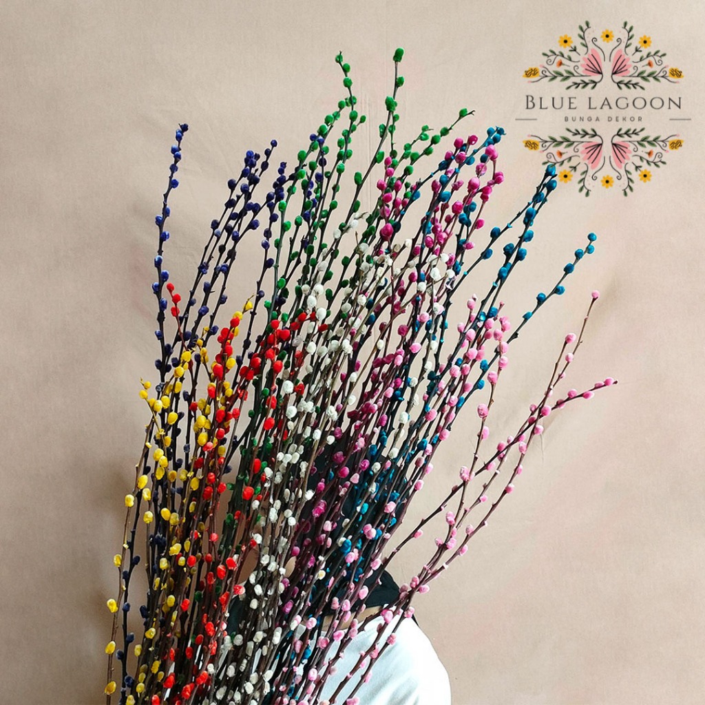 (9pcs) 120cm Dried Pussy Willow LARGE 2023 Bunga Imlek Dekorasi Chinese New Year Decoration CNY Bung