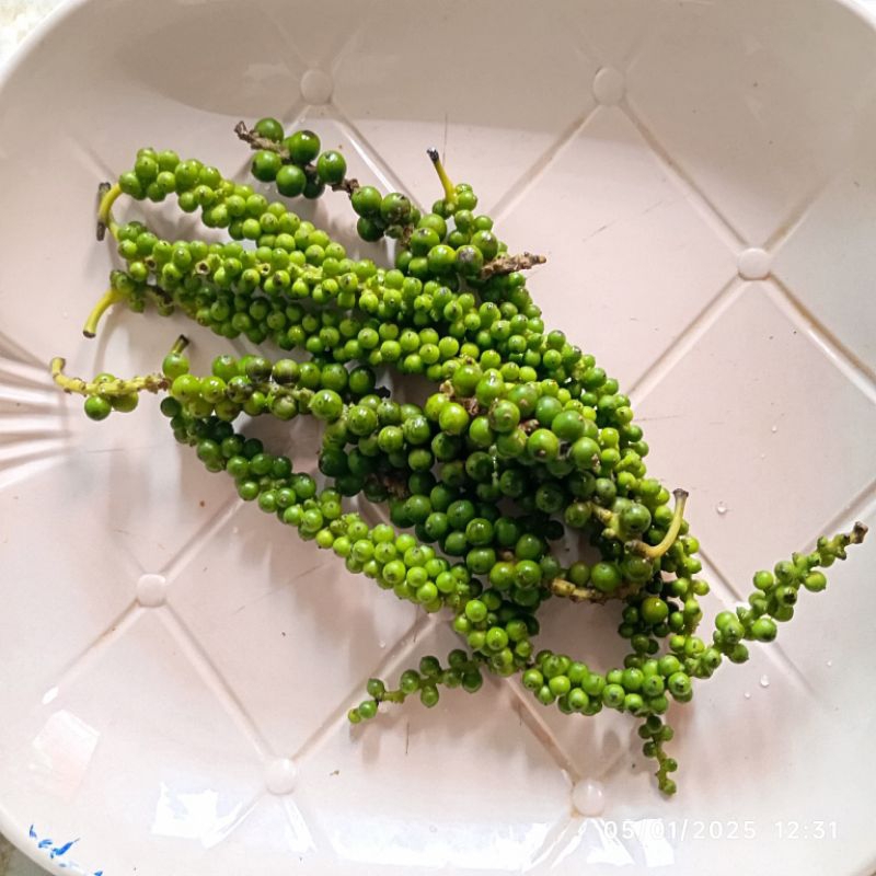 

Merica Hijau Segar Rempah Fresh