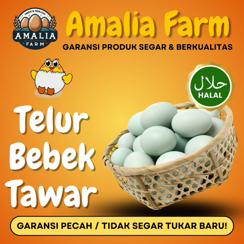 

Telur bebek mentah tawar segar