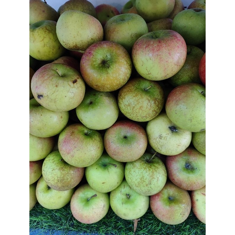 

Apel Manalagi 1 Kg