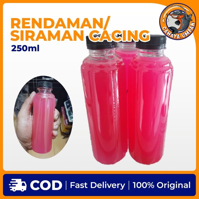 umpan ikan lele galatama/celupan cacing