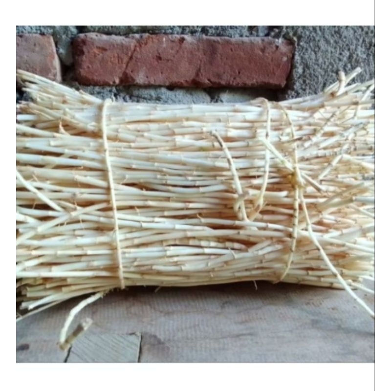 

Alang alang segar berkualitas 500 gram