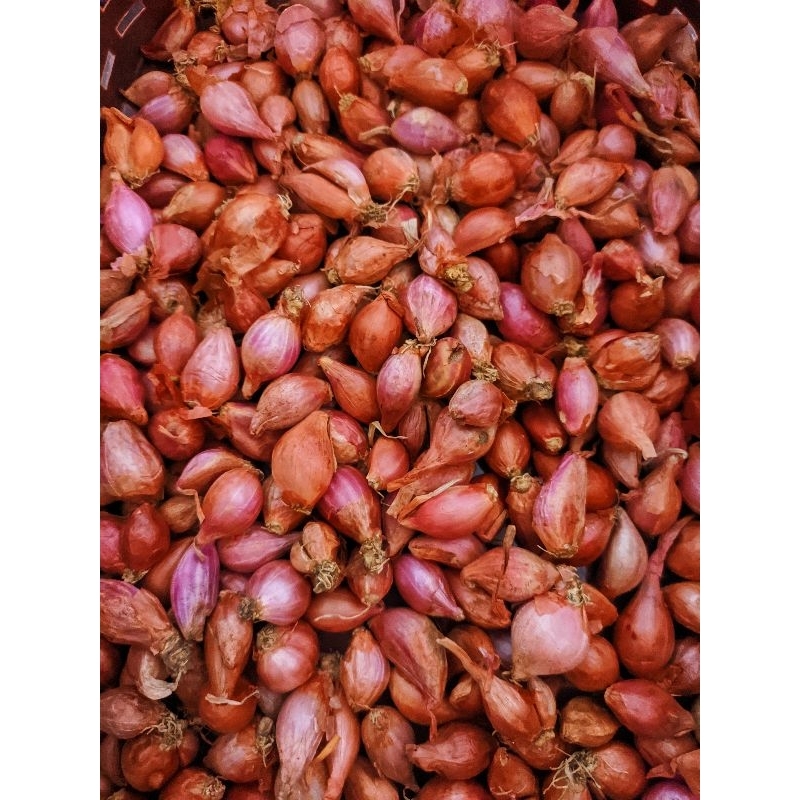

bawang merah kecil (ulekan) 1kg