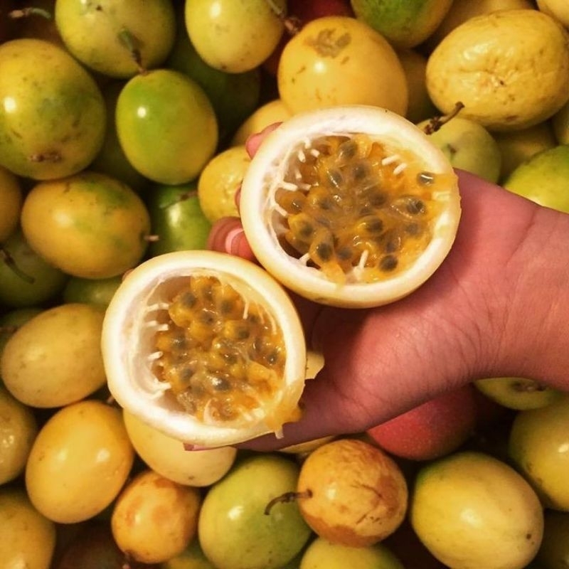 

MARKISA KUNING MURAH FRES 1KG