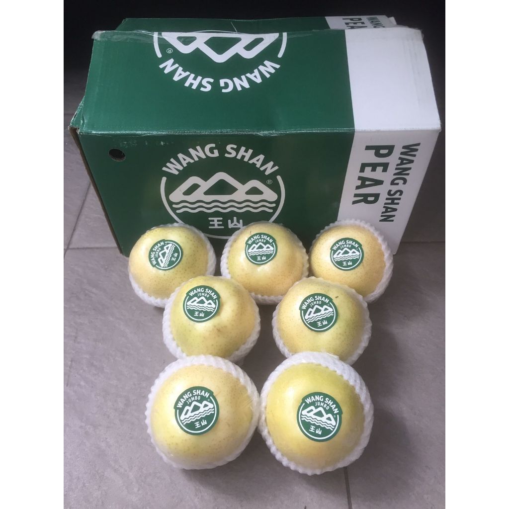

Buah Pear Pir Golden dan Singo Wangshan Jumbo 1 Dus ( 9 Kg ) Fresh Import