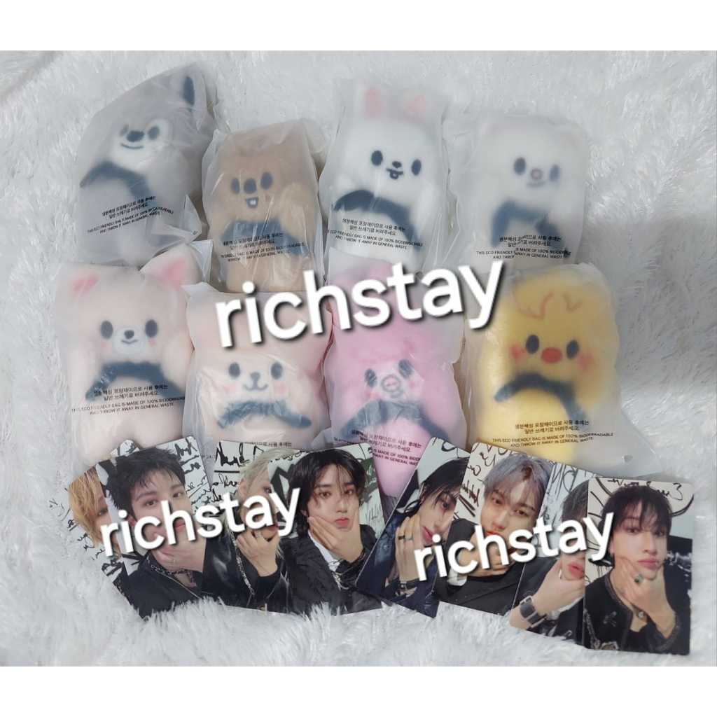 Keyring magnetic + Cushion skzoo