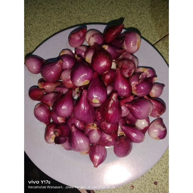 

bawang kupas brebes asli