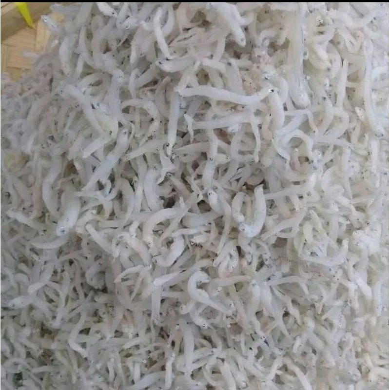 

ikan teri nasi medan / pebut /