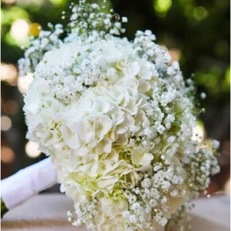 Wedding Bouquet Baby Breath / Wedding Buket Baby Breath / Buket Wedding Baby Breath / Buket Pernikah