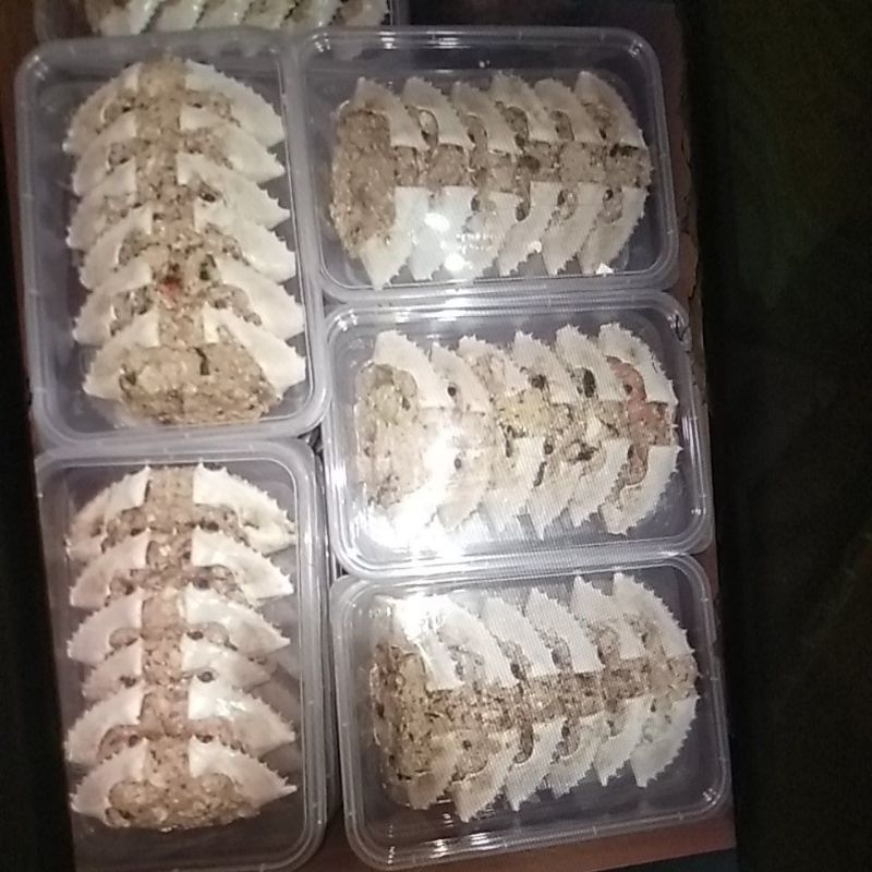 

ketam rajungan