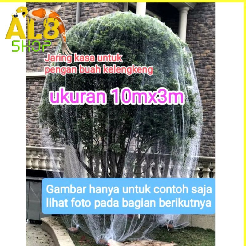 jaring pelindung pohon brongsong pohon buah kelengkeng dari kelelawar codot