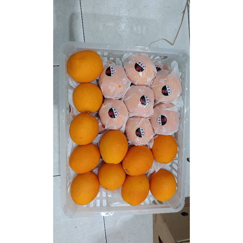 

Jeruk Sunkist Navel
