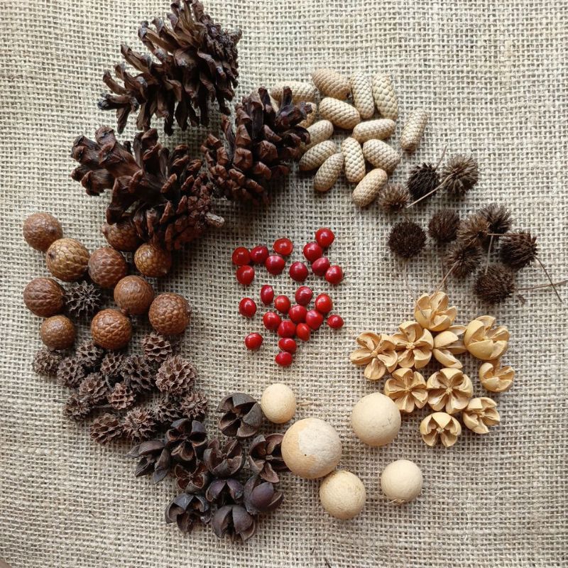 biji bijian kerajinan tangan biji rotan biji saga biji