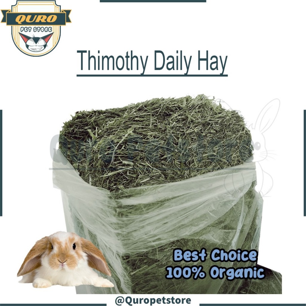 Makanan Kelinci Rumput 1kg Daily Timothy Hay Best Choice 100% Organic 1kg  2ndCut