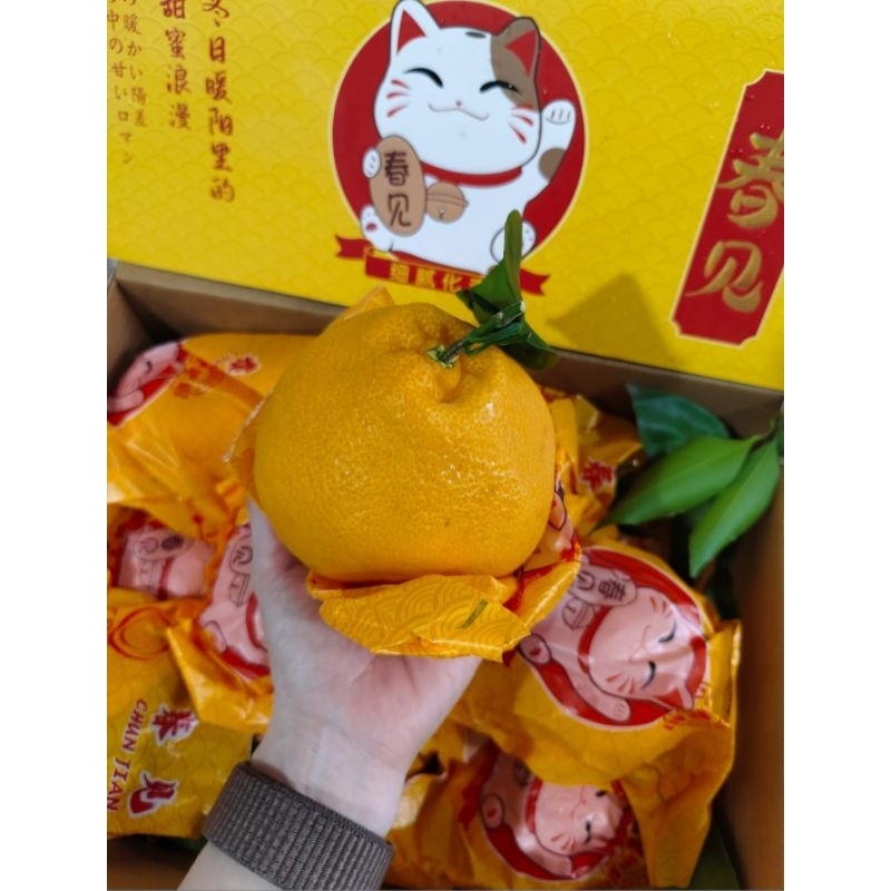 

Jeruk Papagan Kucing giftpack 5 kg Hampers imlek Buah imlek