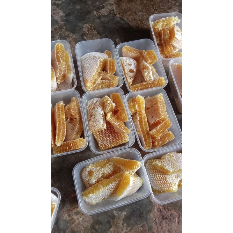 

madu hutan murni 100% asli