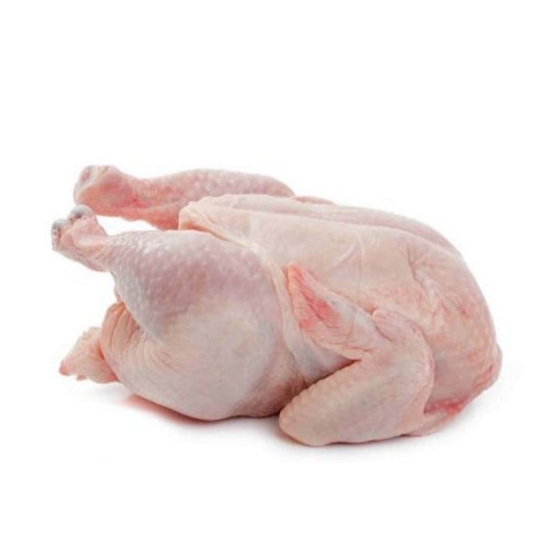 

ayam potong fresh