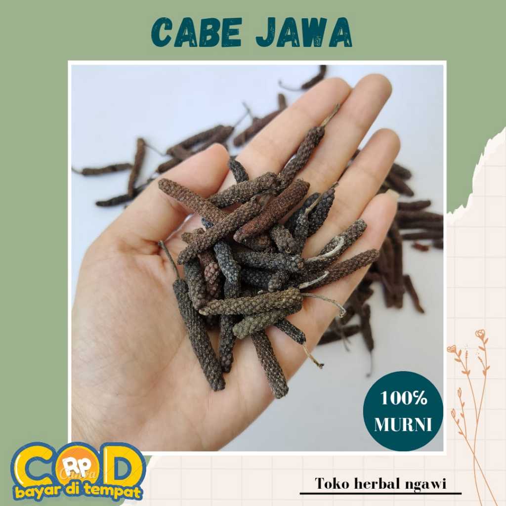

Cabe Jawa Organic