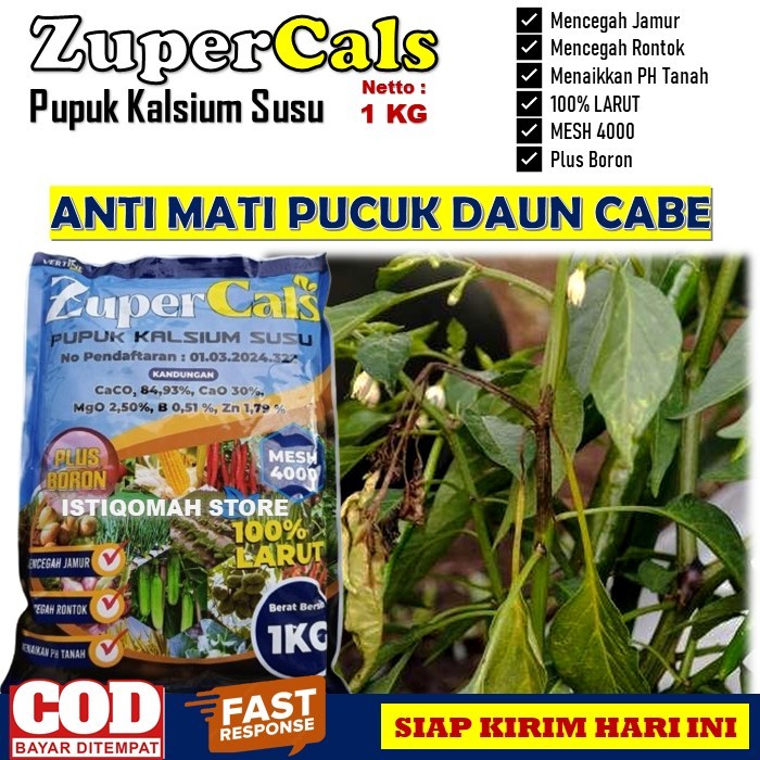 Pupuk Pencegah Mati Pucuk Daun Pada Tanaman Cabe Terbaik ZUPERCALS 1 KG Obat Anti Busuk Akar Busuk D