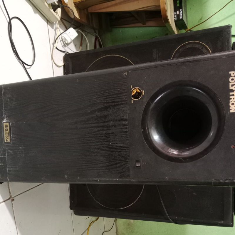 subwoofer polytron PSW 500C