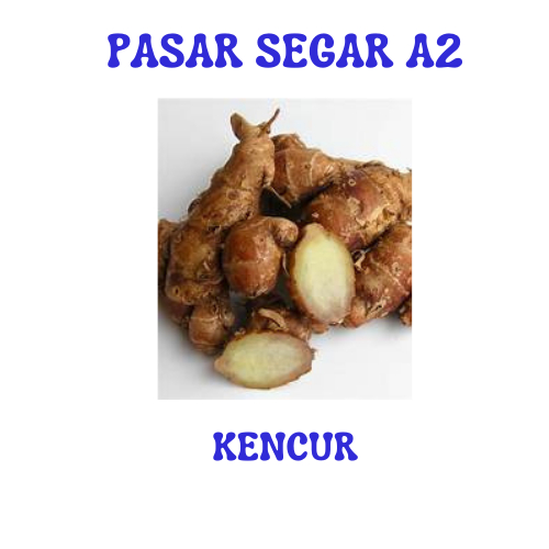 

KENCUR PASAR SEGAR MAKASSAR/PASAR TERONG ONLINE MAKASSAR