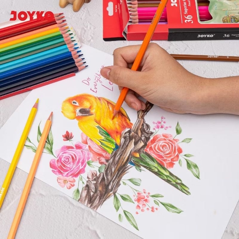 

Pensil Warna Joyko 12