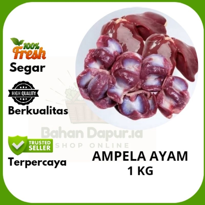 

AMPELA AYAM | 500 GR - 1 KG | Bahan Dapur.id