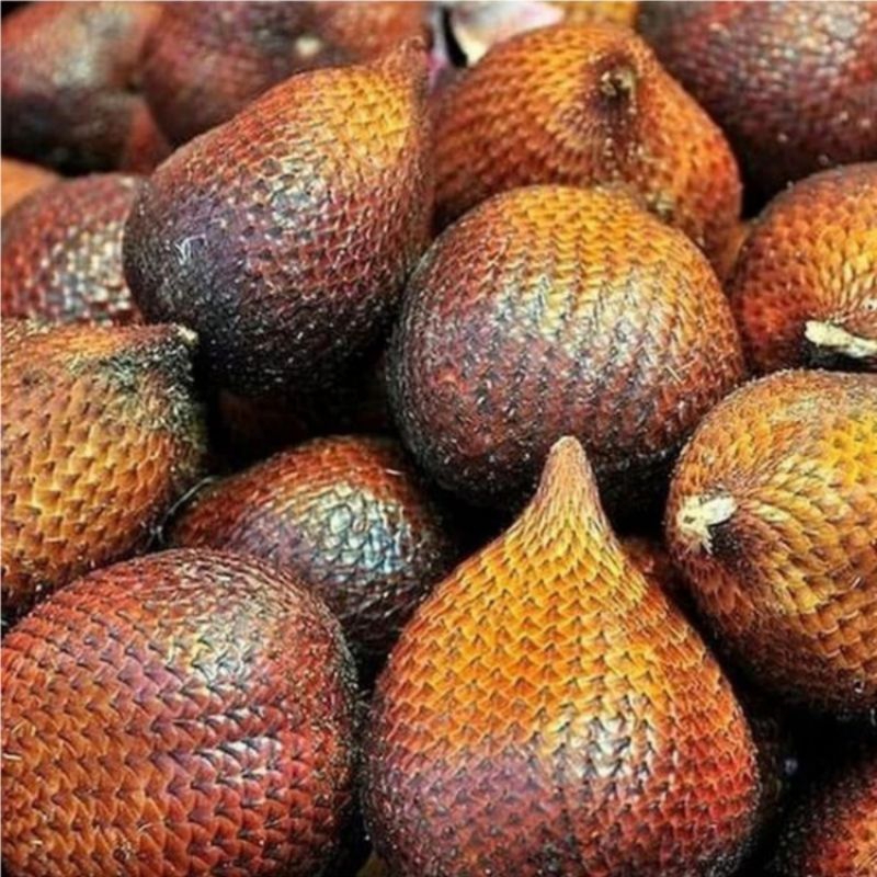 

BISA INSTAN ✅ READY!! Salak pondok 1kg grade A ( gede-gede)