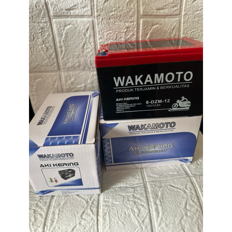 aki sepeda listrik 12v 6-DZM-12