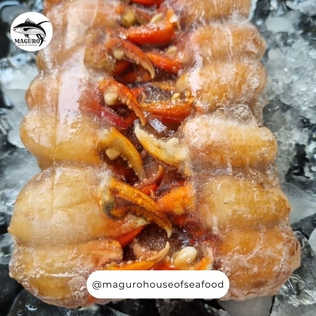 

Capit Kepiting Frozen 500 Gr