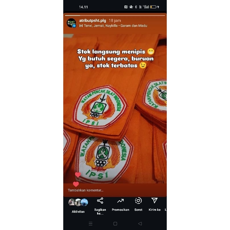 Sabuk IPSI official pelatih coach