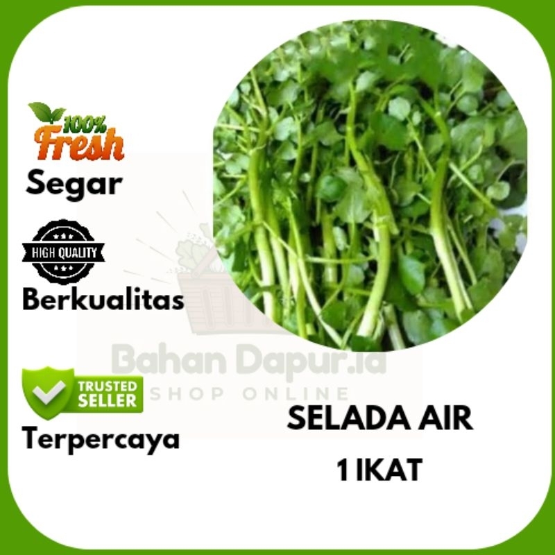 

SELADA AIR | 1 IKAT | Bahan Dapur .id