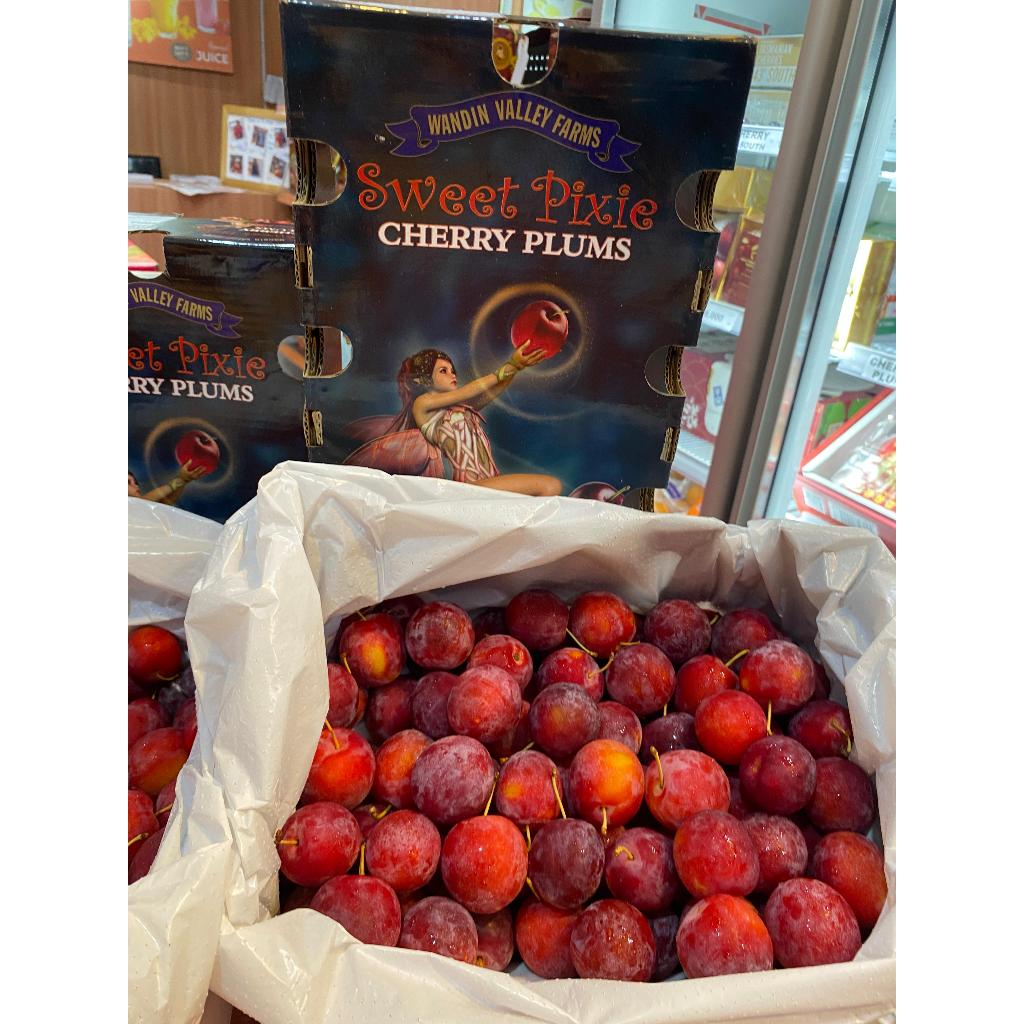 

CHERRY PLUM SWEET PIXIE - SUKABUAH