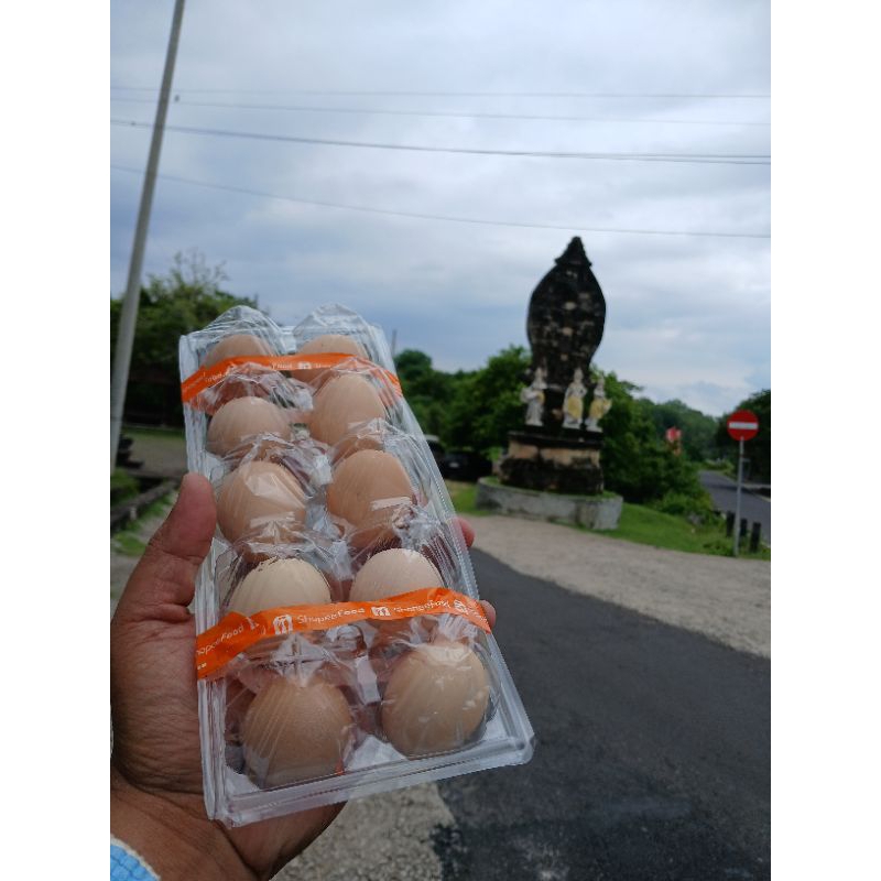 

Telur Ayam Kampung Unggulan Balitbangtan (KUB)