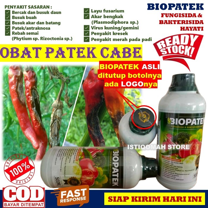 Fungisida Organik Hayati DAWATEK 250ML Obat Penyakit Antraknosa Patek Cabe Cabai Paling Ampuh Manjur