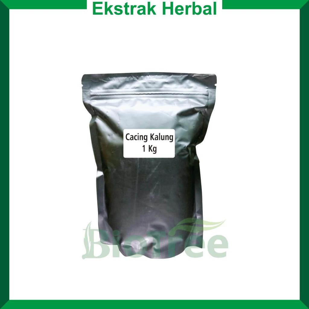 Ekstrak Cacing Kalung Larut Air Herbal Lokal Tradisional - 1 Kg
