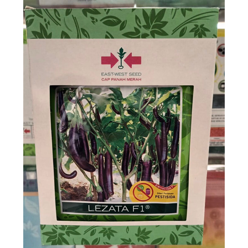 benih terung lezata 10g