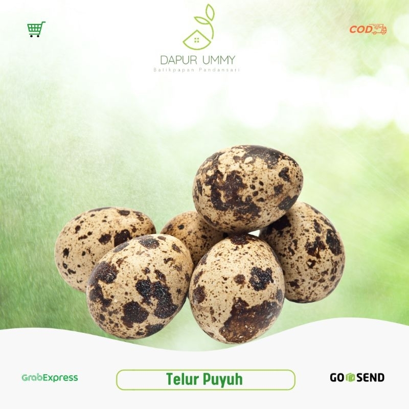 

PUYUH • Telur Puyuh 1 Rak • 90 Butir